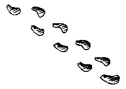 footprints.jpg